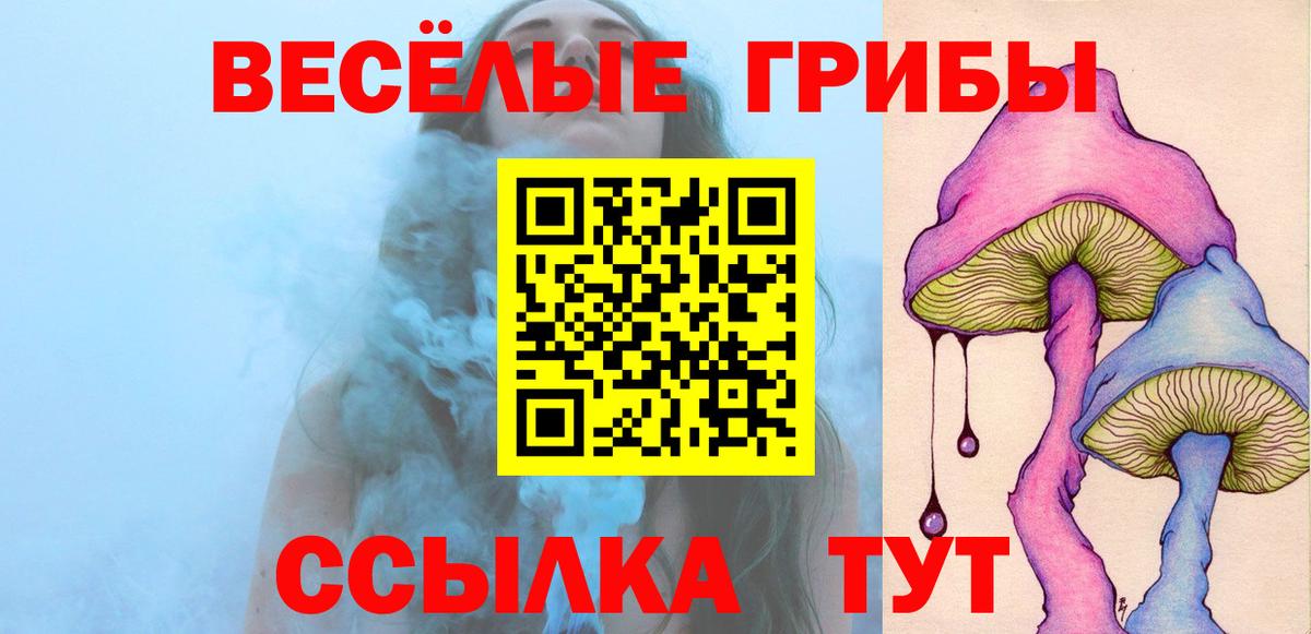 Саратов  Галлюциногенные грибы Psilocybine cubensis  Вход с VPN  Галлюциногенные грибы GOLDEN TEACHER 
